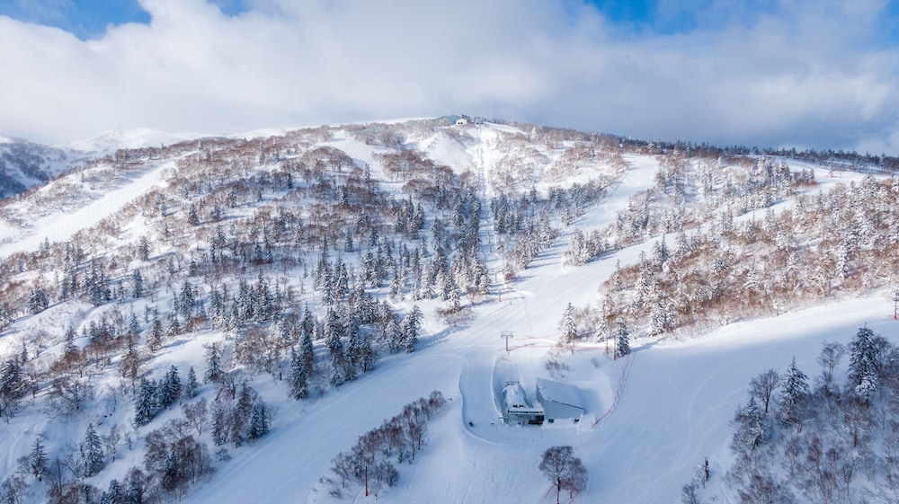 OMO3 Sapporo Susukino by Hoshino Resorts 43/47