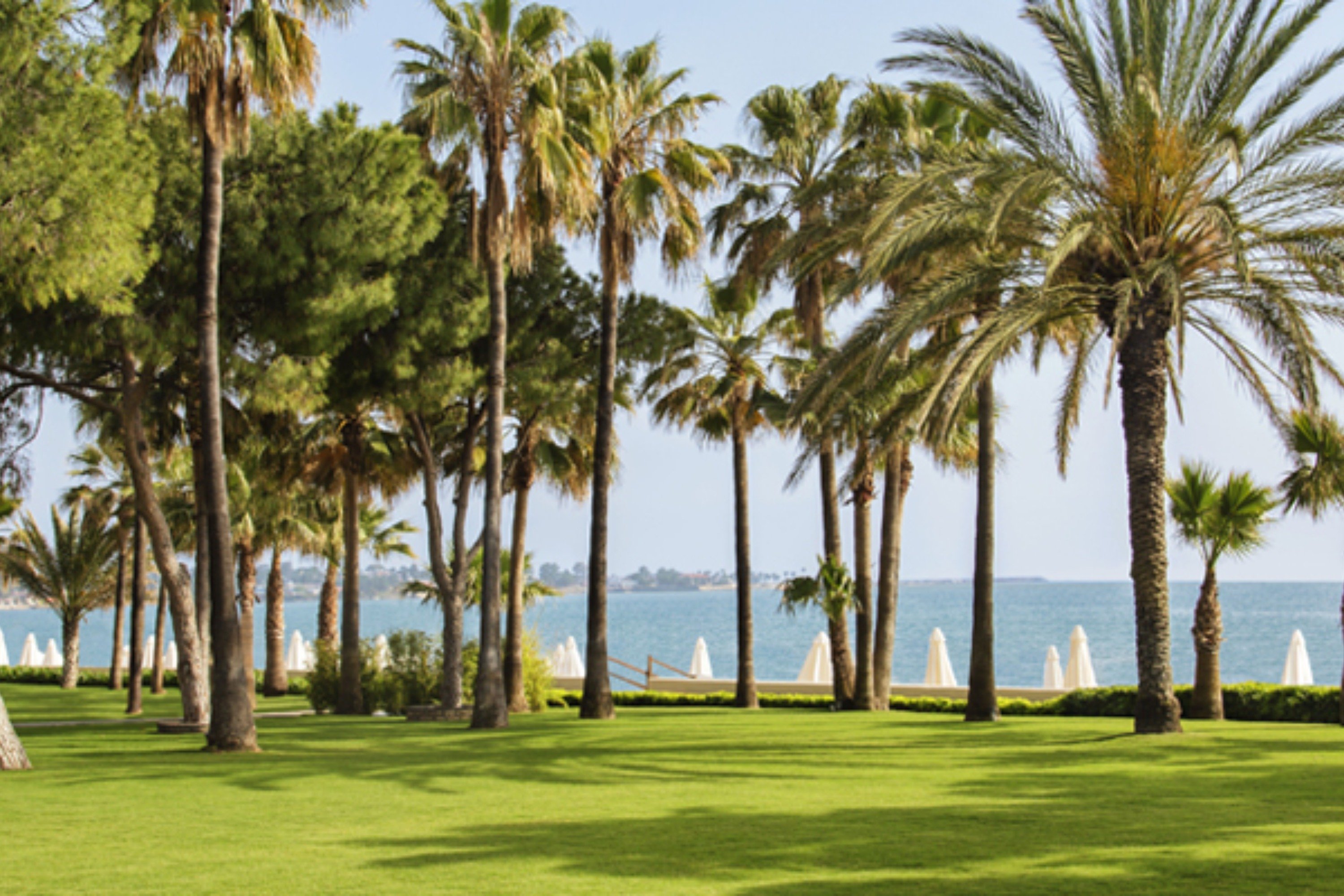 Acanthus and Cennet Barut Collection 14/20