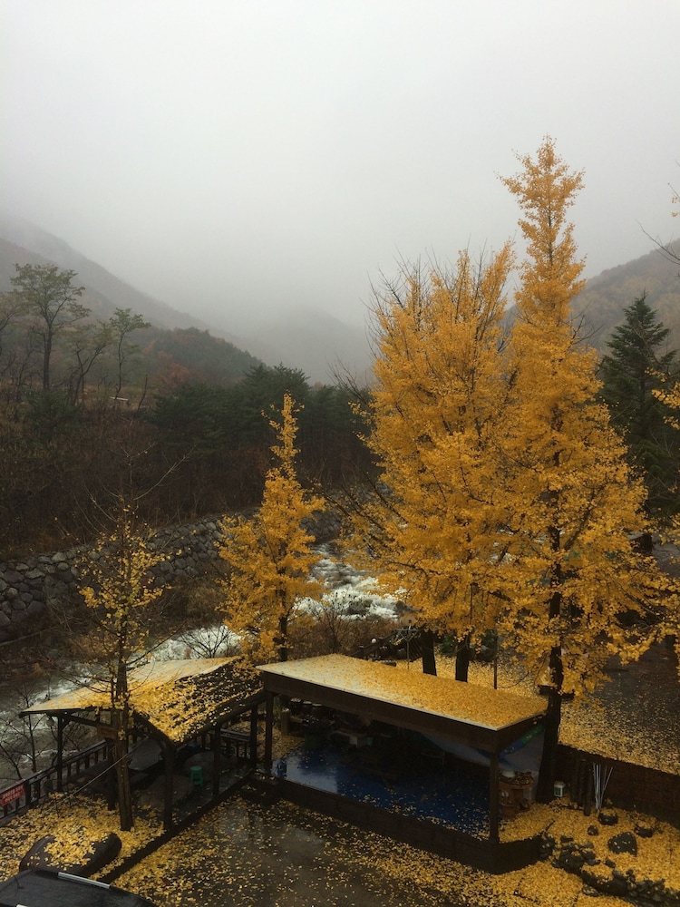 Smile Resort Sokcho 37/50
