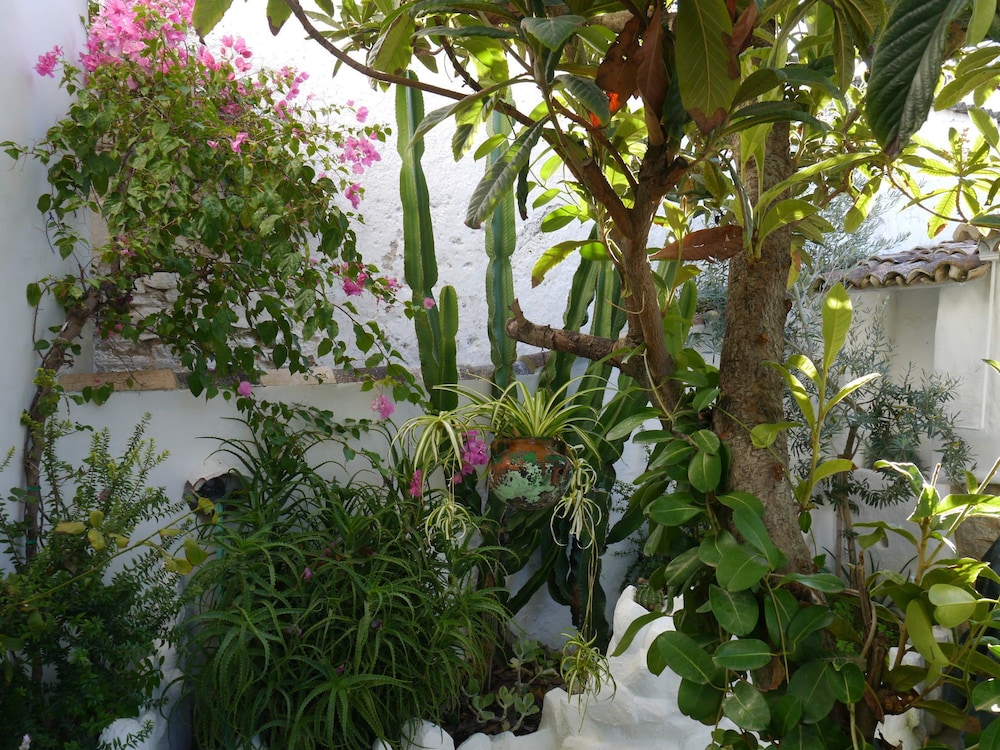 El Molino Del Abuelo 24/29