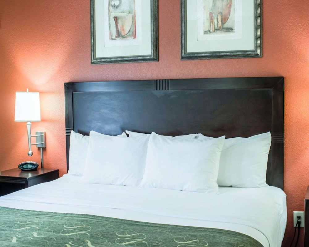 Comfort Suites Regency Park 9/34