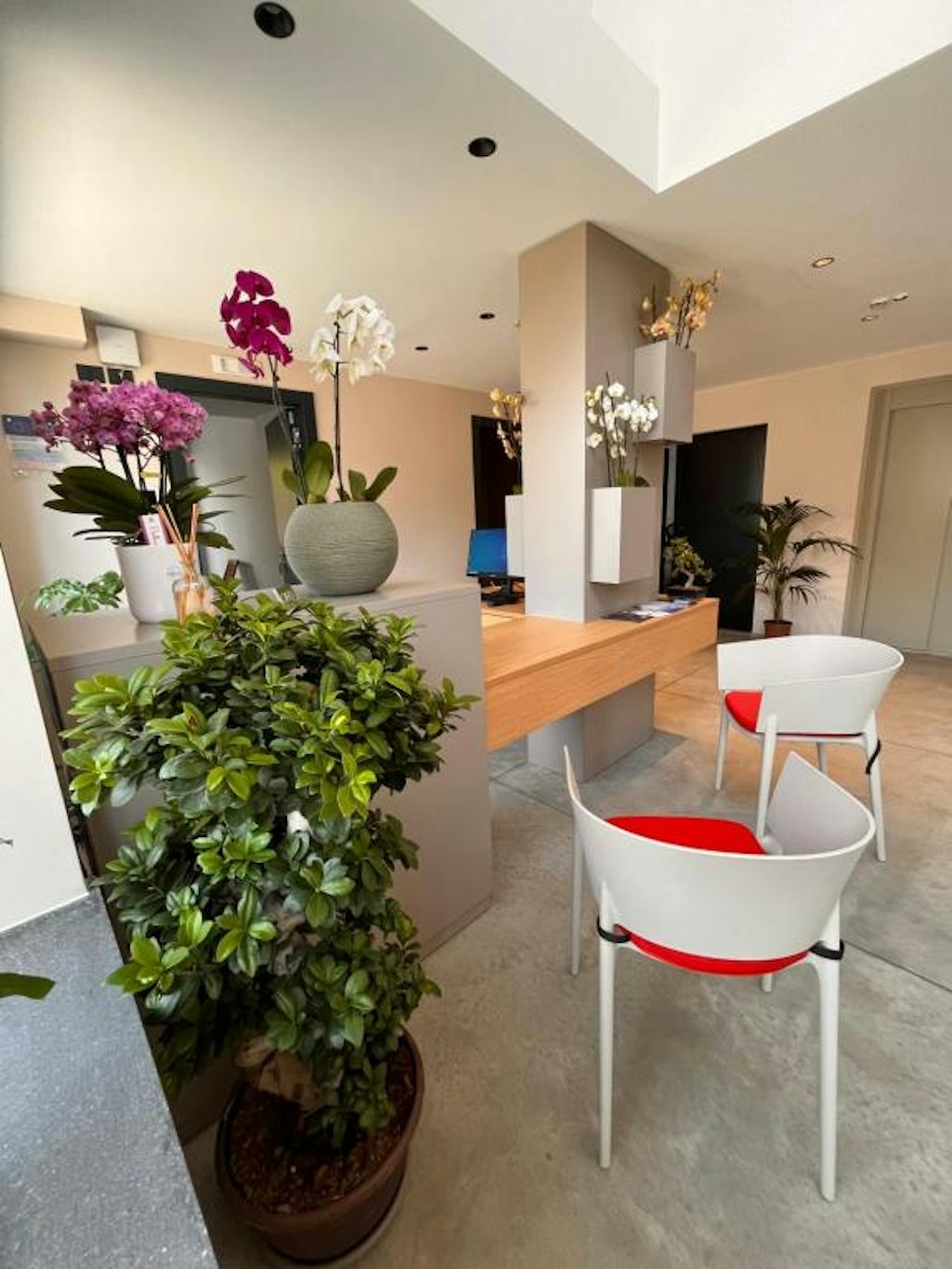 Ollen Apartments 13/19
