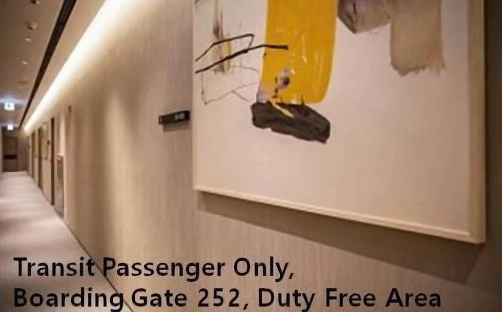Incheon Airport Transit Hotel Terminal 2 24/35