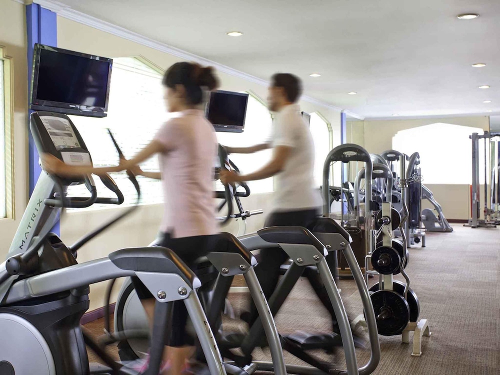 Ibis Styles Solo 41/66