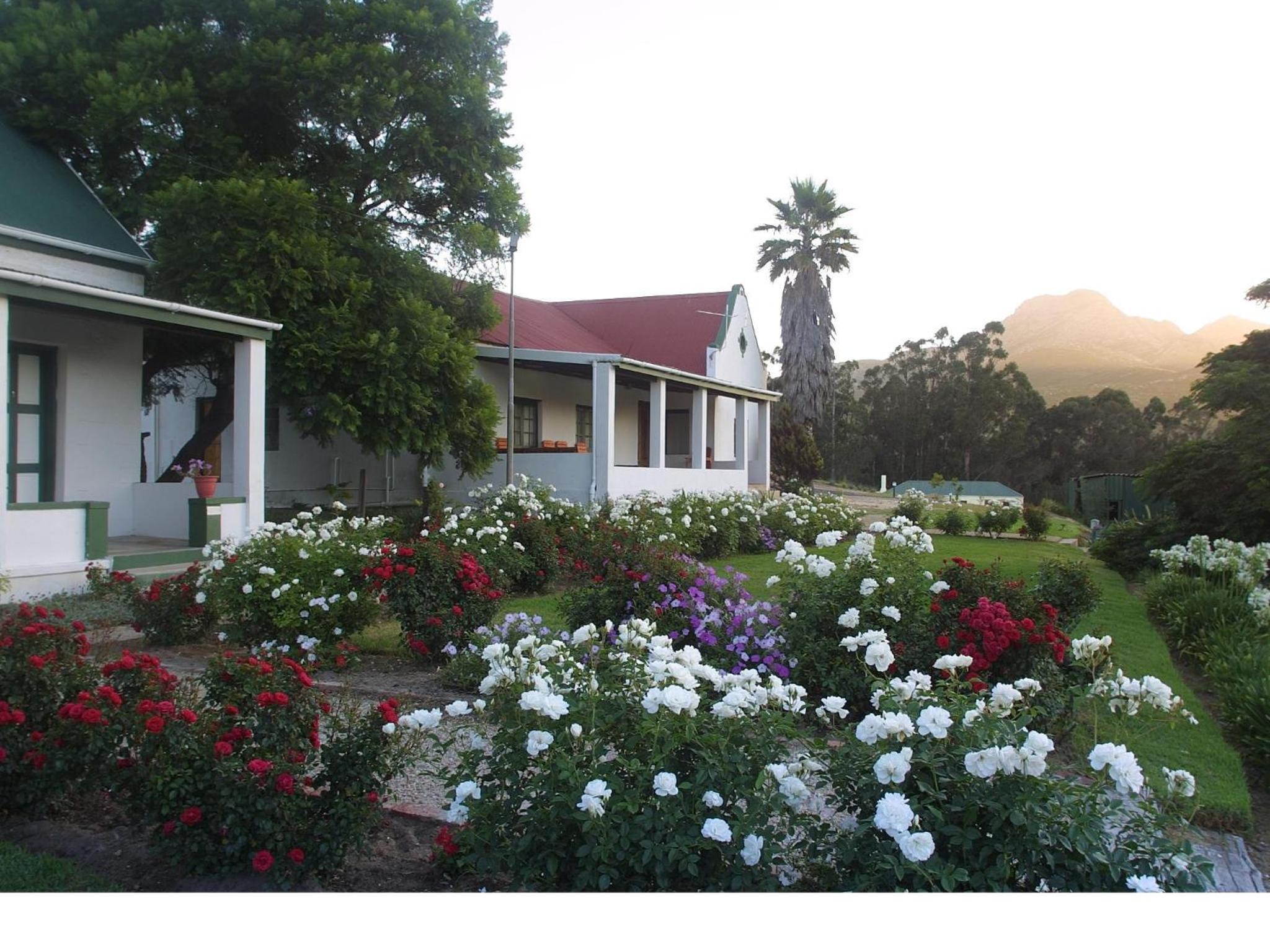 Over the Mountain Guest Farm 20/25