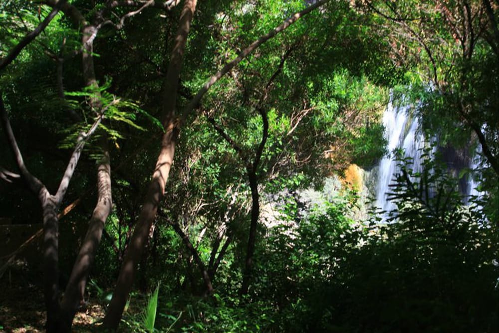 Ma'in Hot Springs 36/50