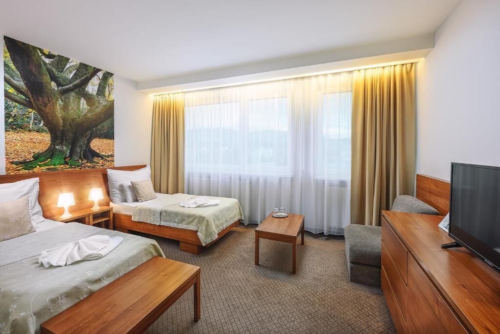 Hotel Janosik 9/34