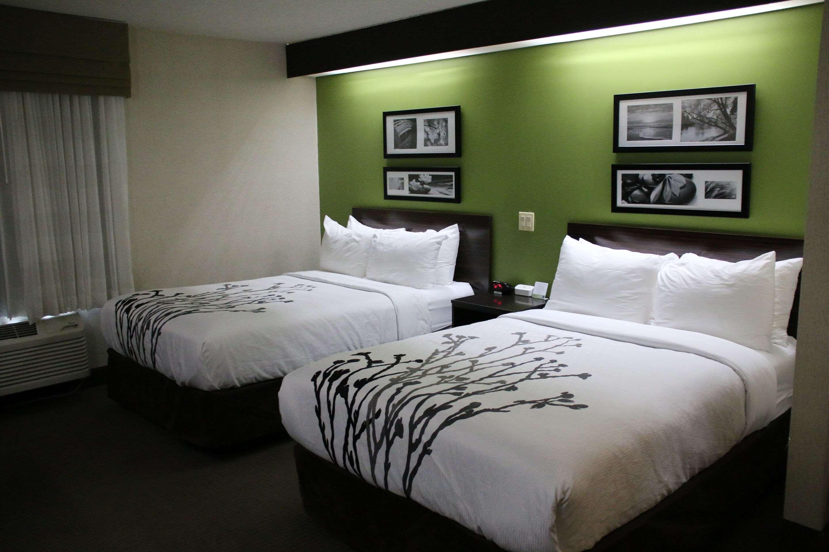 Room, Double Bed