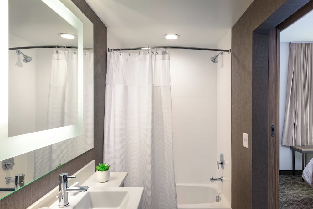 SpringHill Suites by Marriott Chattanooga South/Ringgold, GA 32/33