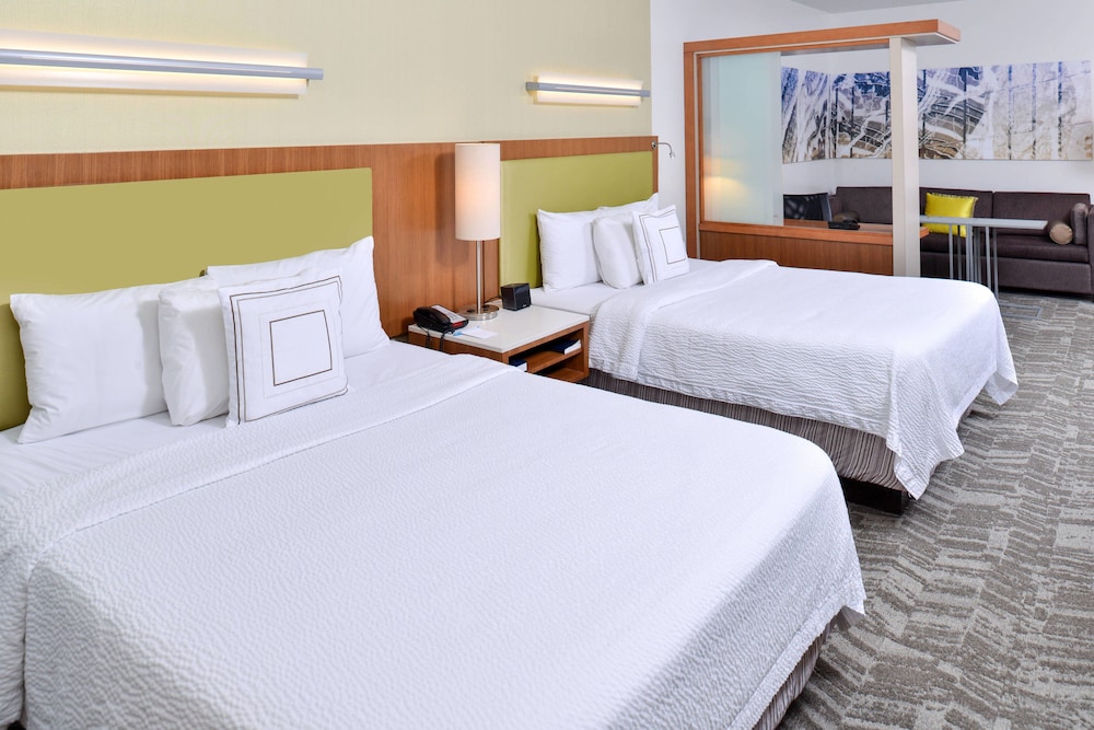 SpringHill Suites by Marriott Detroit Metro Airport Romulus 10/47