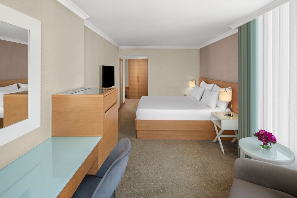Dedeman Istanbul 20/63