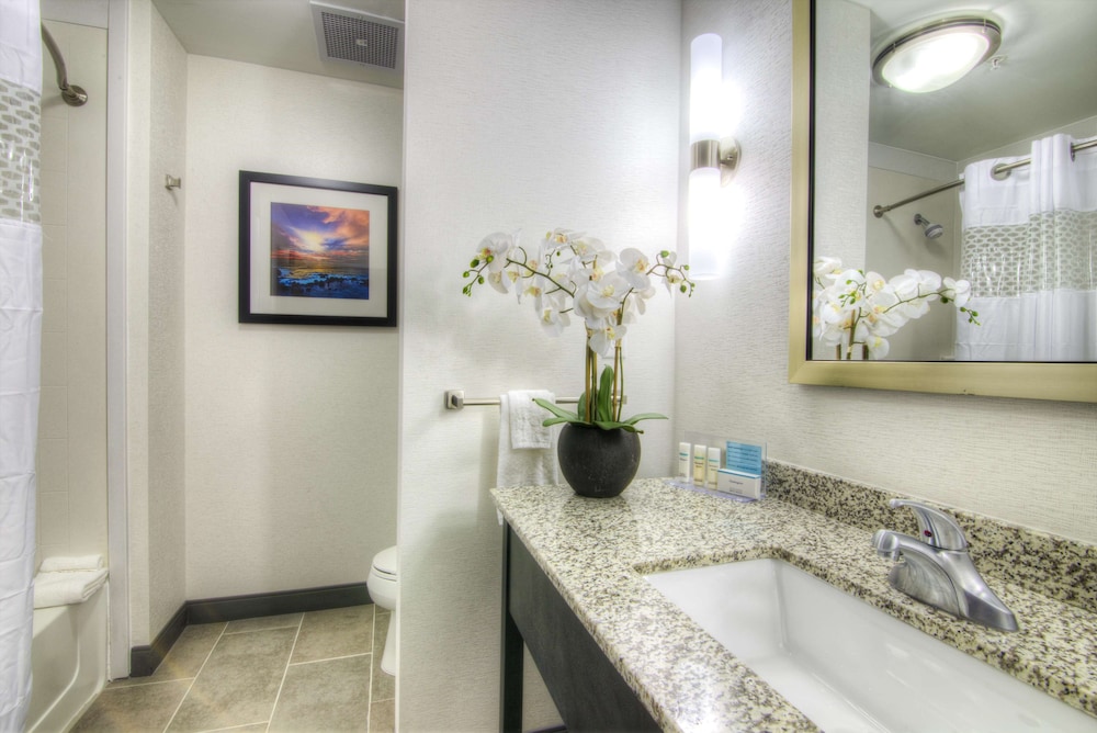 Hampton Inn Houston I-10 East 13/51