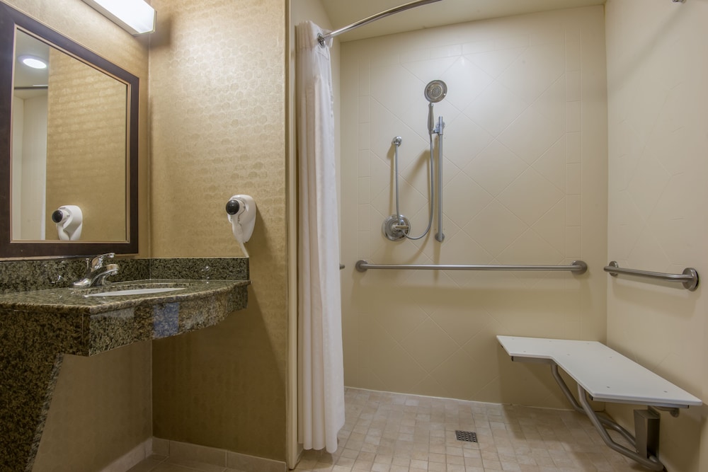 Holiday Inn Express Hotel Suites Clovis 22/49