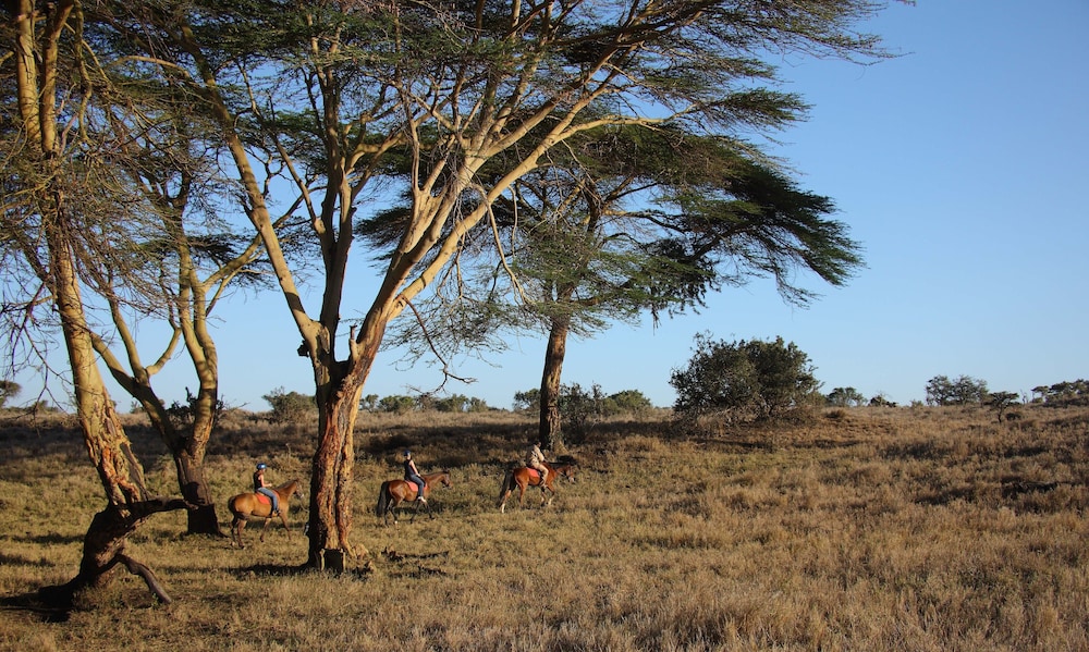 Lewa Safari Camp 38/50