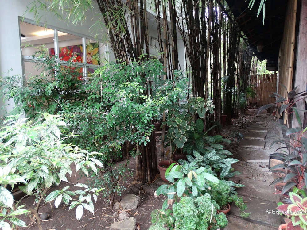 Greenspace Palawan Hotel 26/44