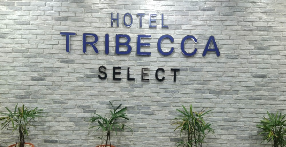 Tribecca Select 3/67