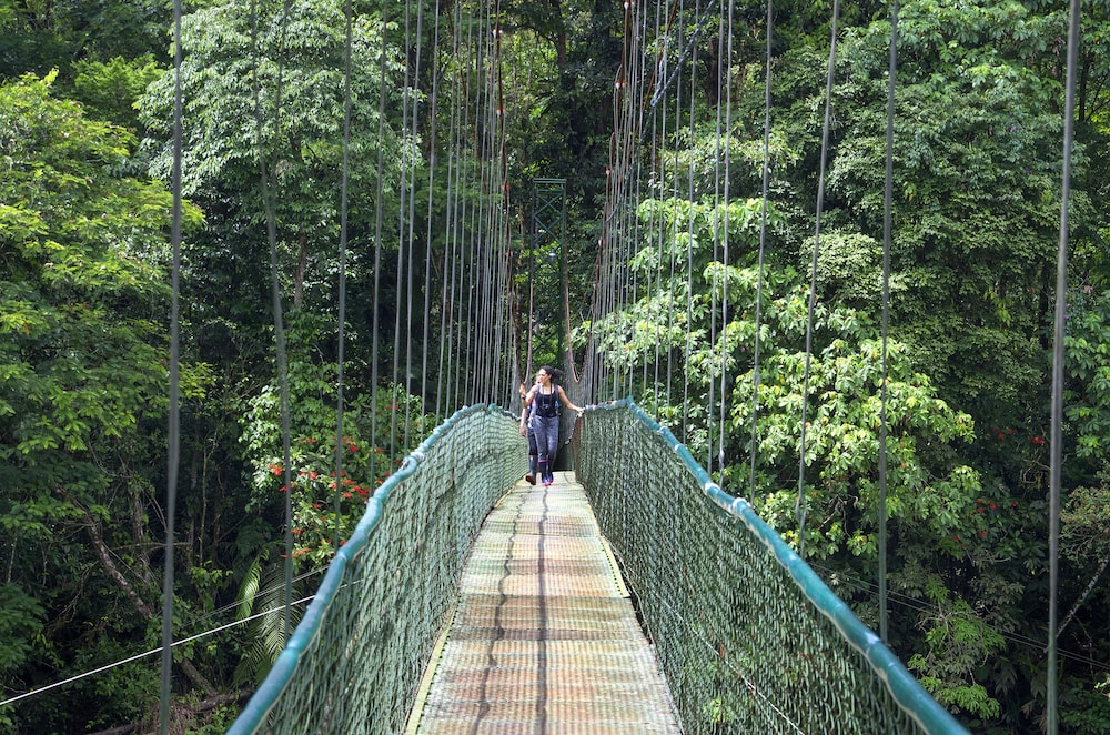 Selva Verde Lodge 38/68