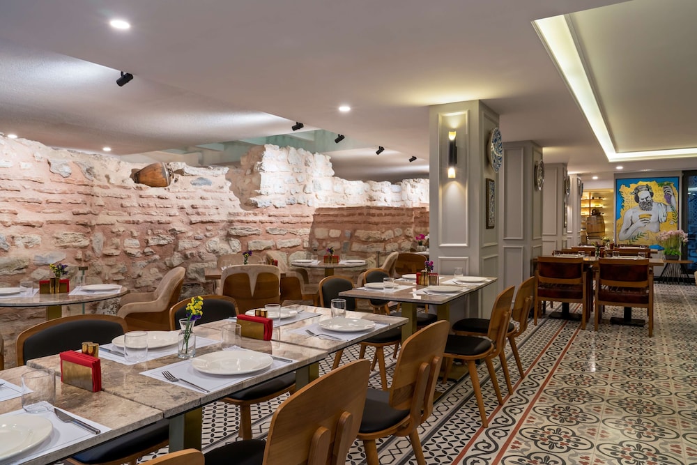 Royan Hotel Hagia Sophia Istanbul, A Member of Radisson Individuals 31/50