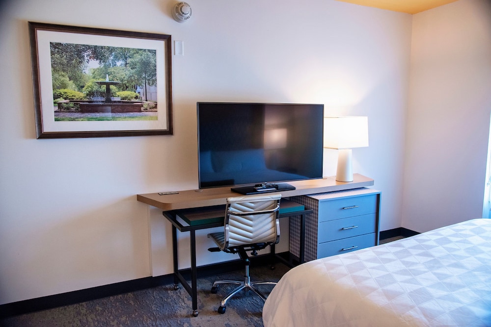 Holiday Inn Suites Savannah Airport Pooler 27/74