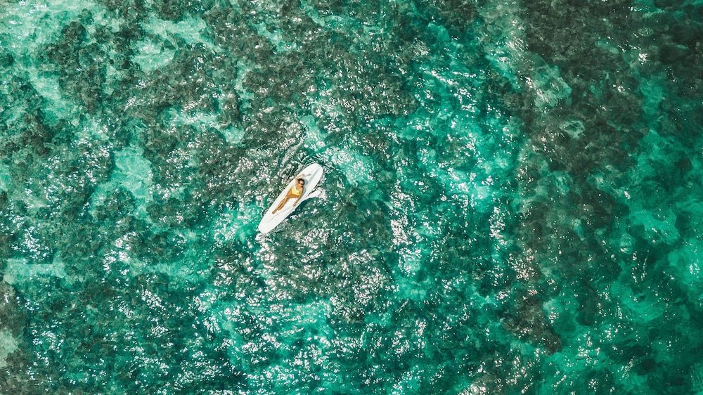 Nusa Bay Menjangan by WHM 32/58