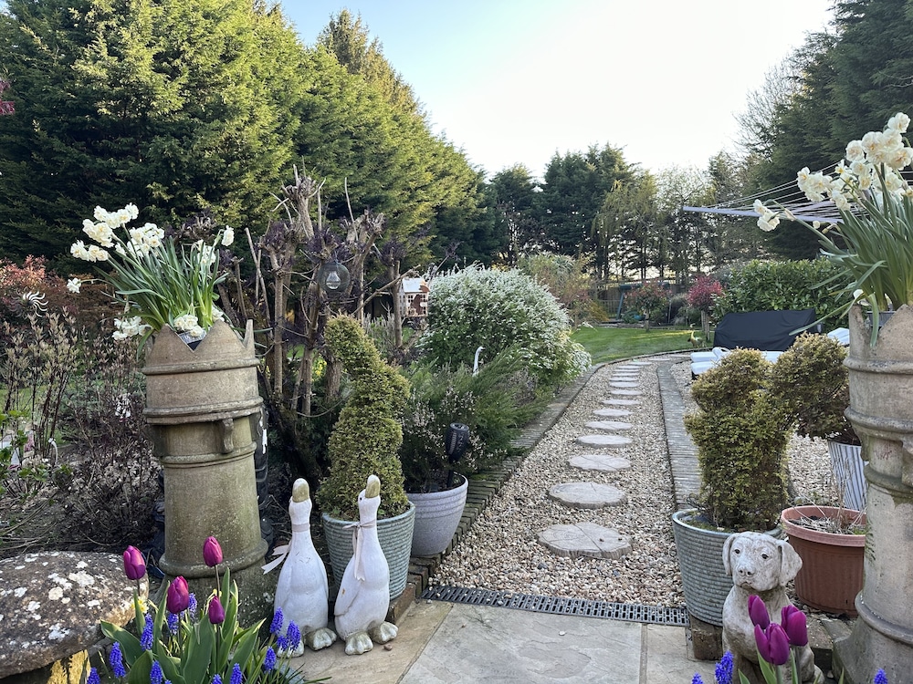 Beechwood B&amp;B 20/32