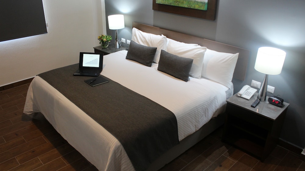 Eco Hotel Guadalajara Expo 19/54