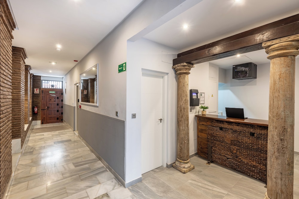 APARTAMENTOS 3000 REALEJO GRANADA CENTRO 4/40