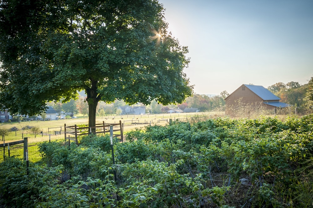 Frush Farm Bed & Breakfast 37/48