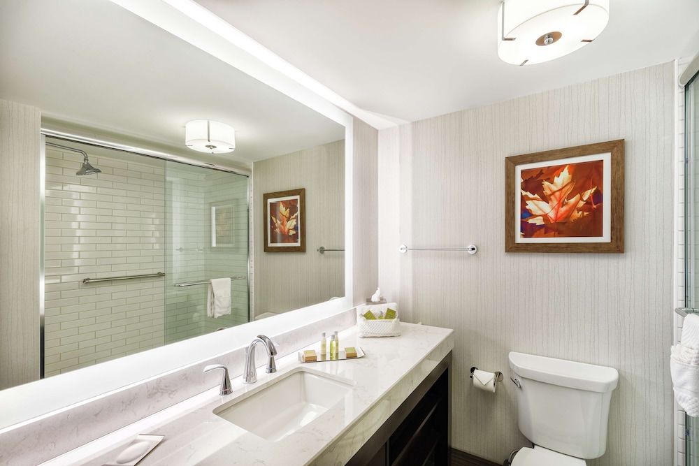 DoubleTree by Hilton Hotel Johnson City 24/61