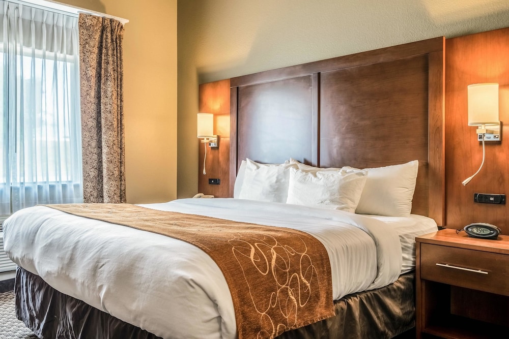 Comfort Suites Near Texas State University 5/32