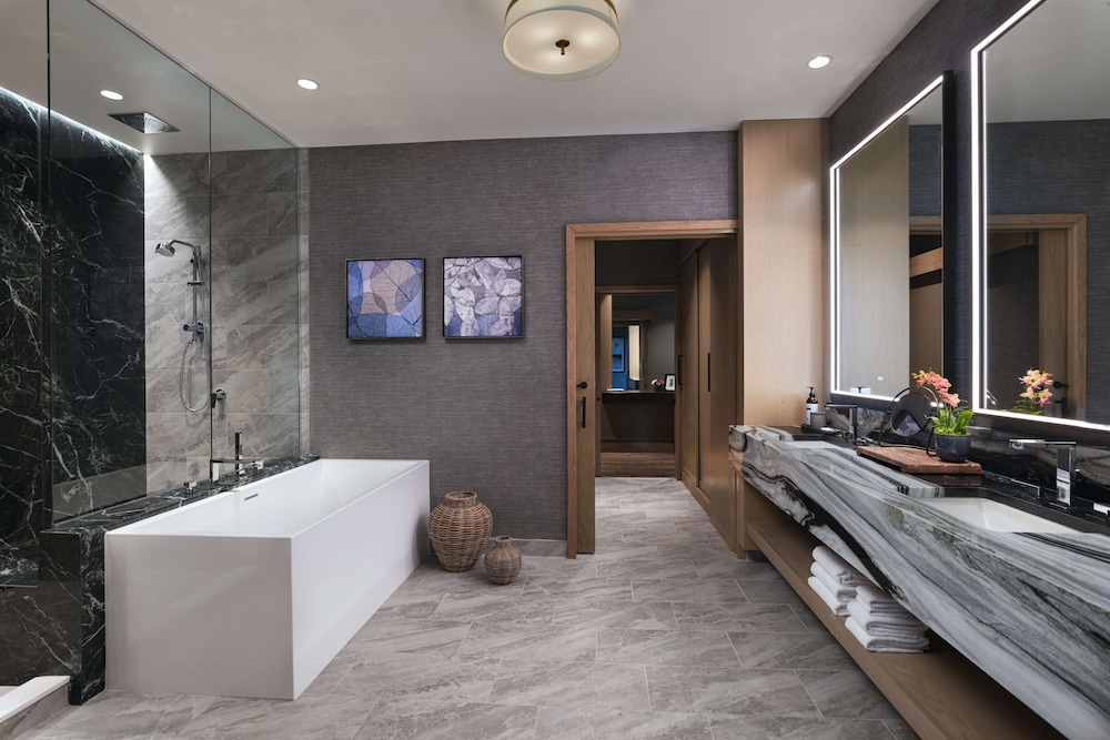Hyatt Regency Conroe 45/45