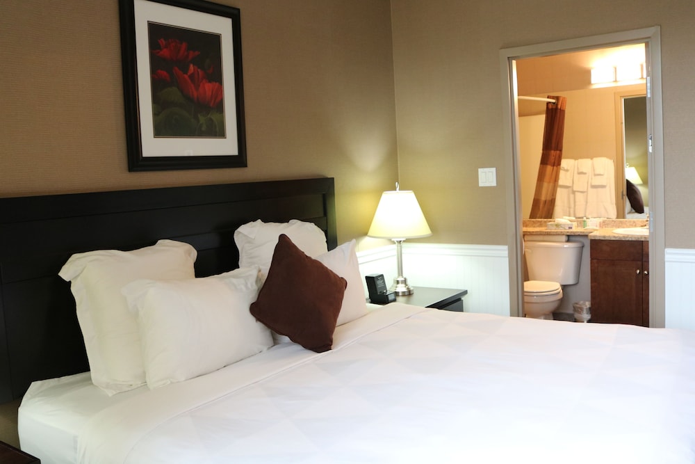 Nomad Hotel And Suites 30/67