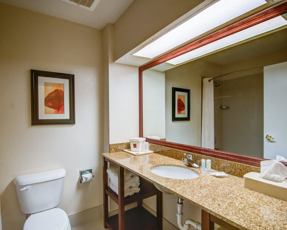 Comfort Suites Northside Hospital Gwinnett 22/47