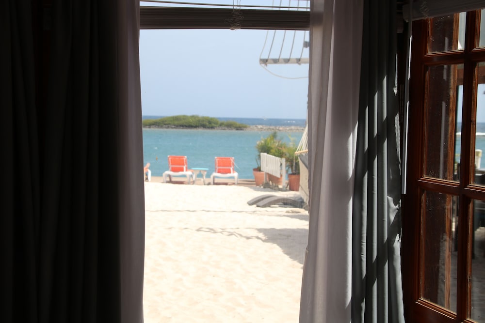 Coral Reef Beach Aruba 37/50