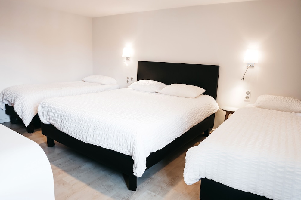 Hotel Au Lion Rouge 14/50