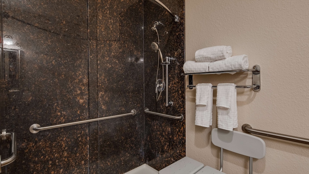 Best Western Plus Greenville South 14/41