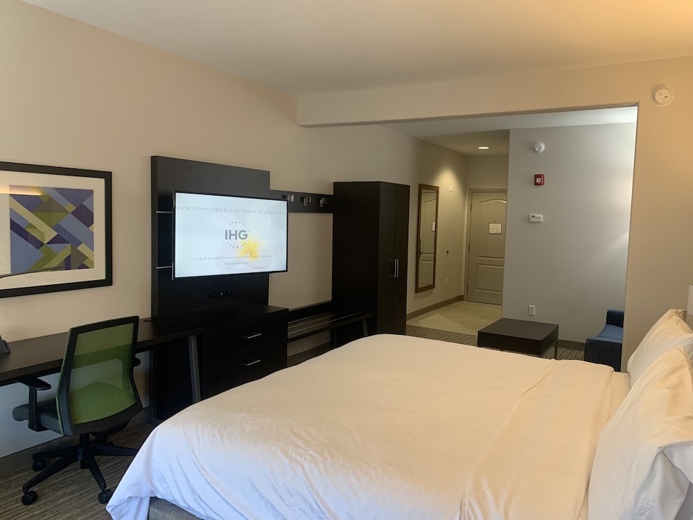Holiday Inn Express Hotel and Suites Greenville 28/64