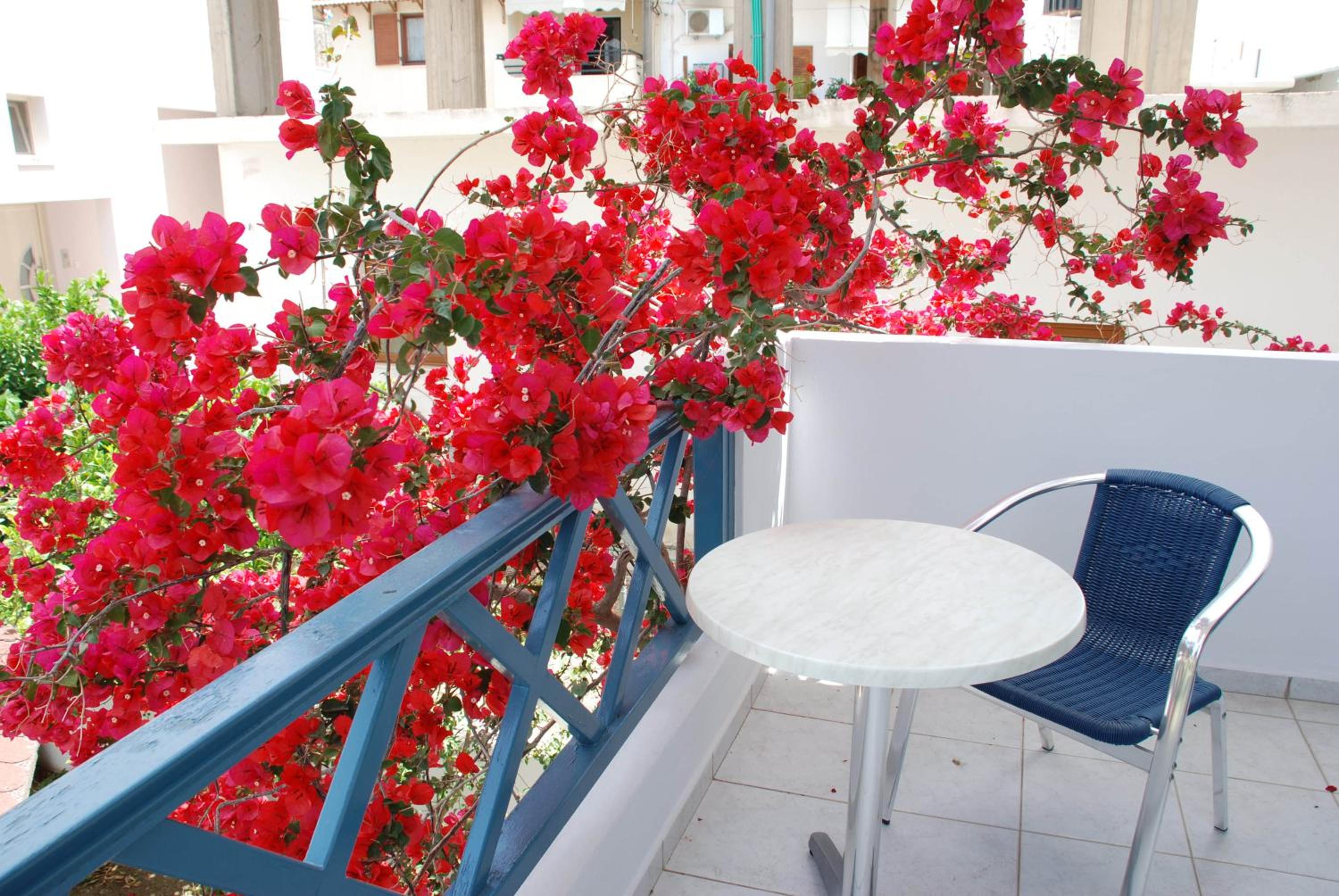 Villa Irida 38/55
