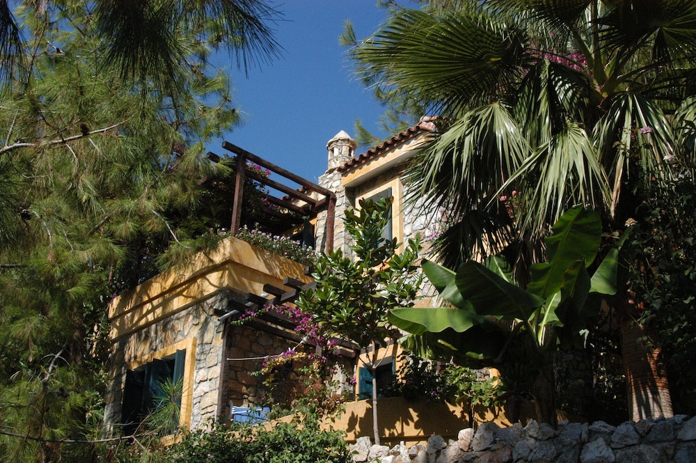 surroundings