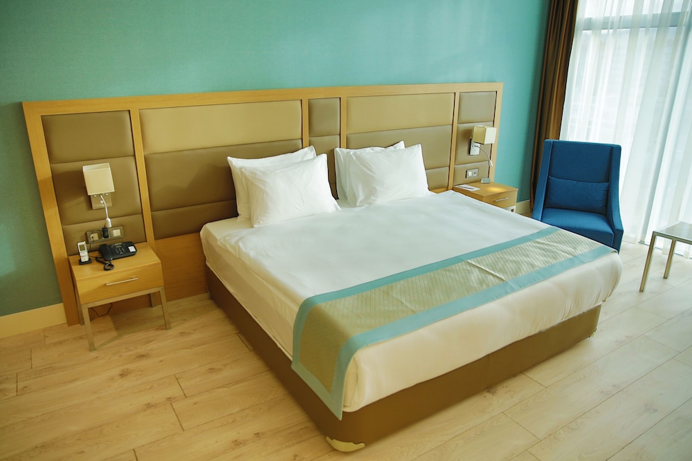 THE ANKARA HOTEL 20/65