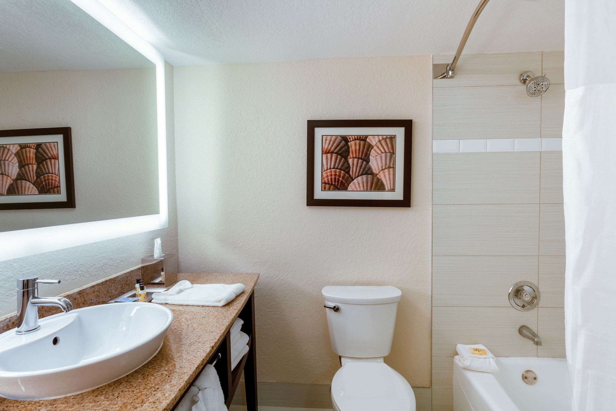 غرفة بسرير كينج لذوي الإعاقة، Wyndham Boca Raton 3/5