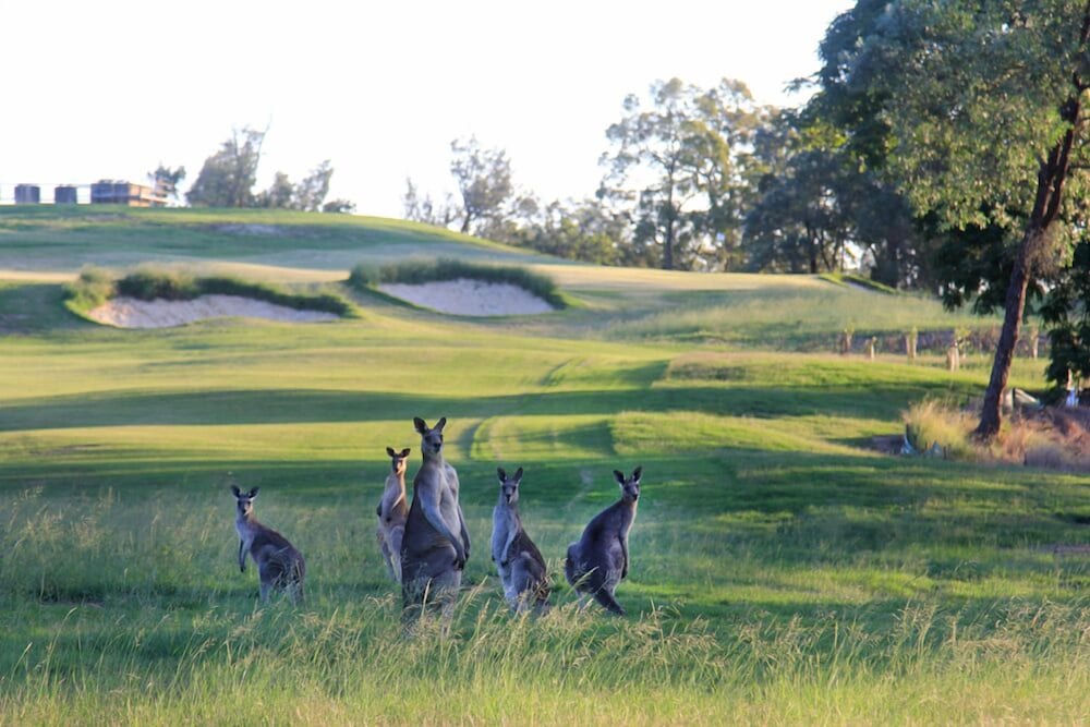 RIVERSIDE OAKS GOLF RESORT 3/33