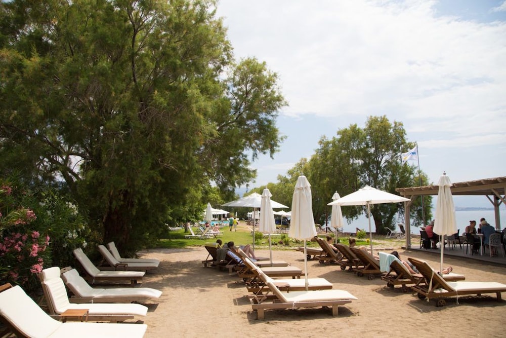 Olive Press Hotel 29/50