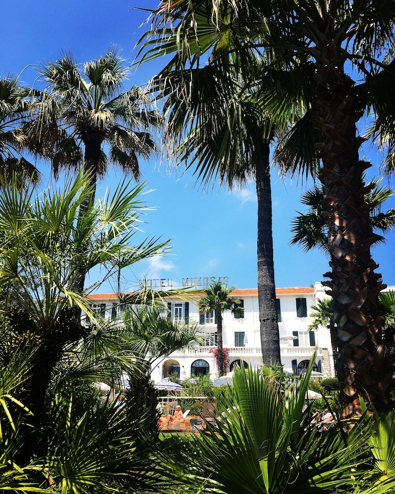 Hôtel Des Mimosas 36/47