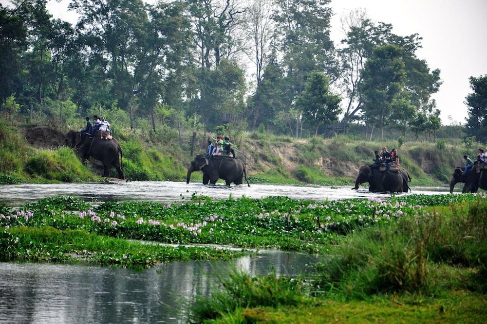 Chitwan Paradise Hotel 25/37