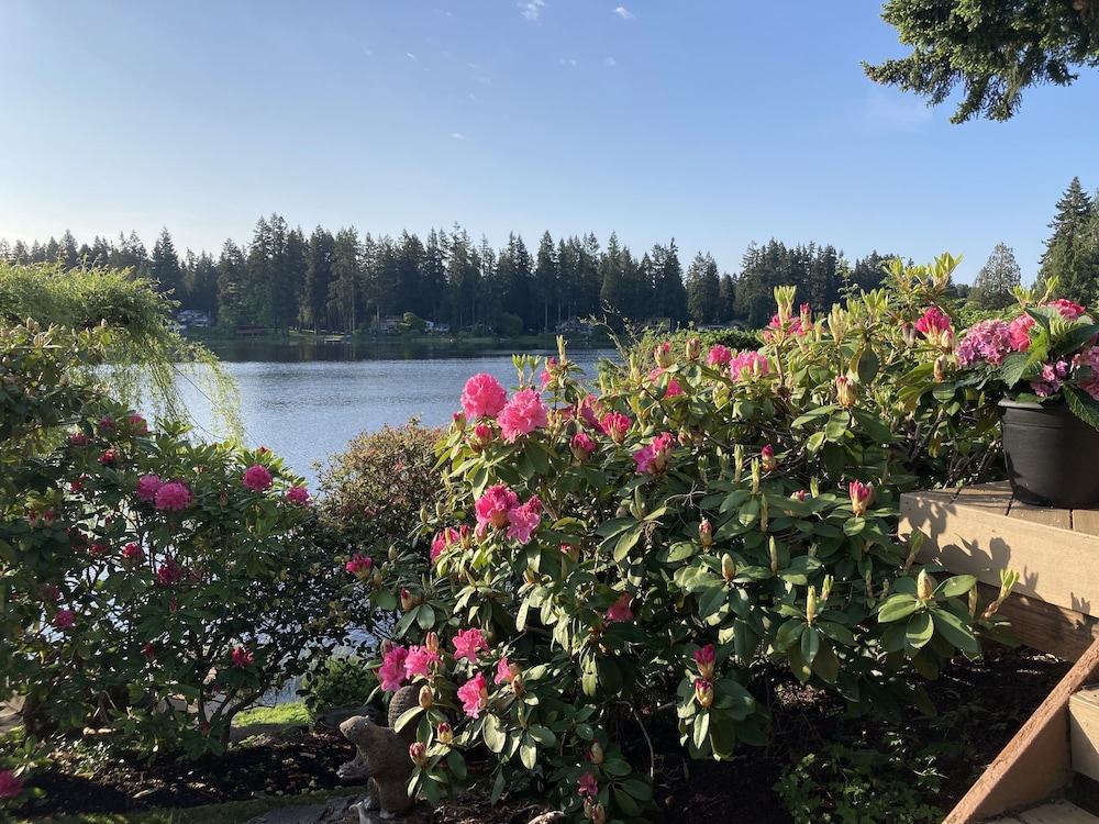 Cottage Lake Bed And Breakfast 27/50
