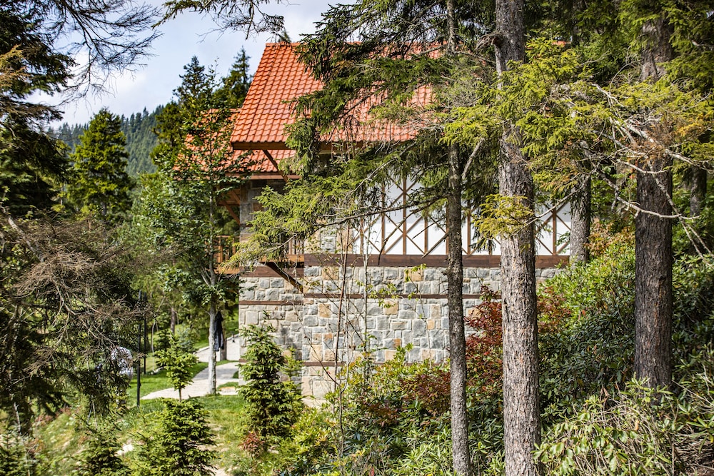 Foleya Mountain Resort 41/50