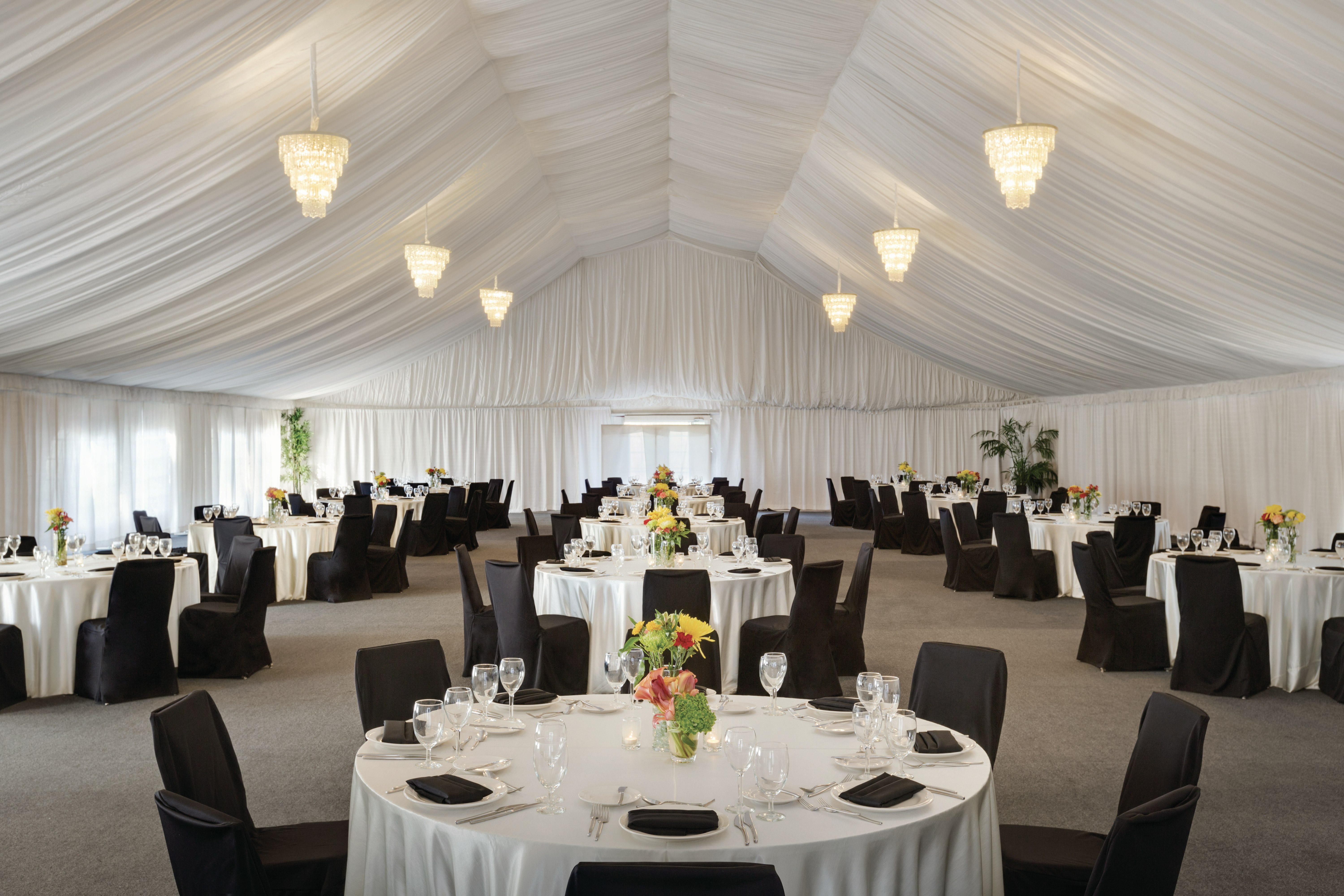 Hilton Scottsdale Resort & Villas 56/77