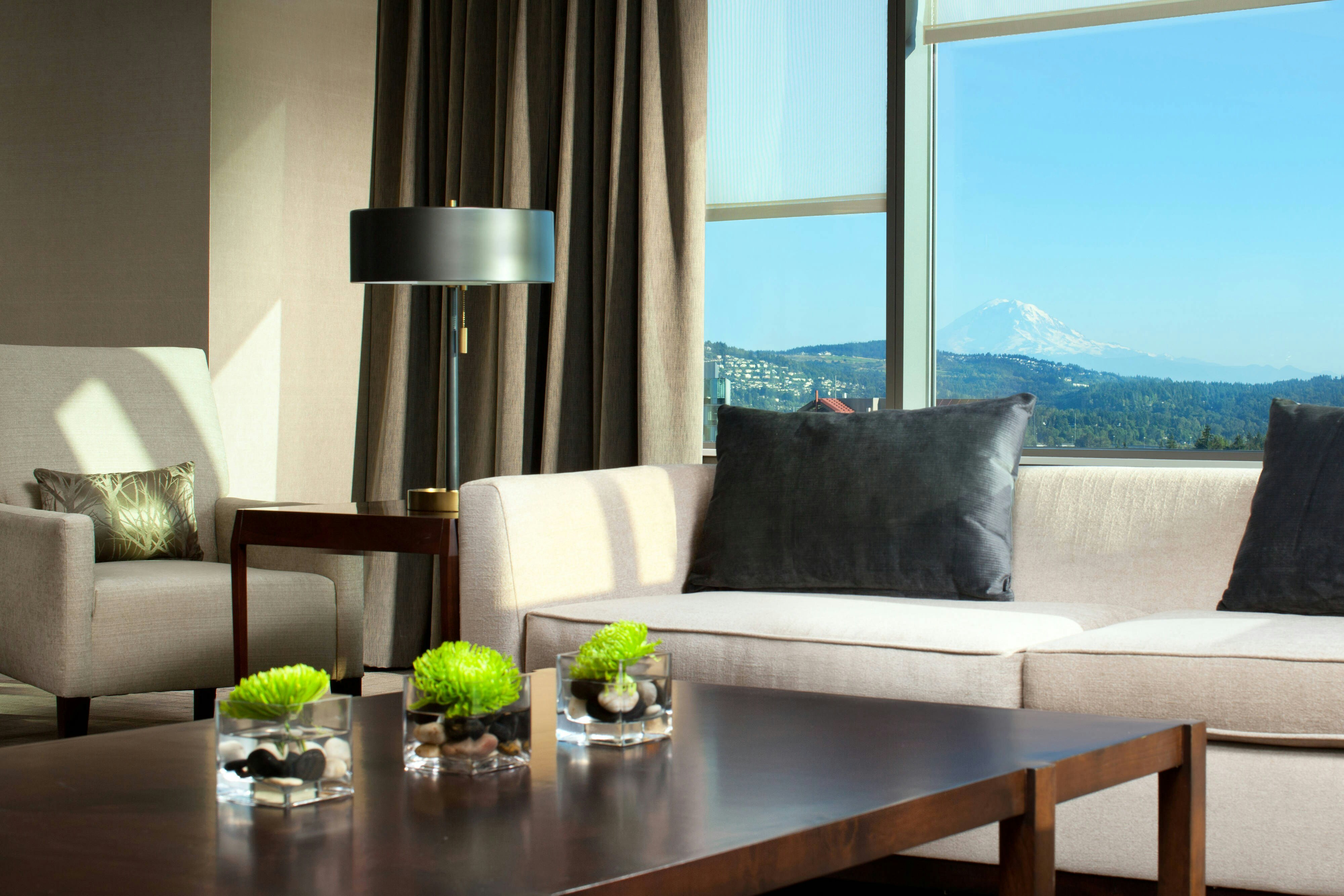 The Westin Bellevue 17/68
