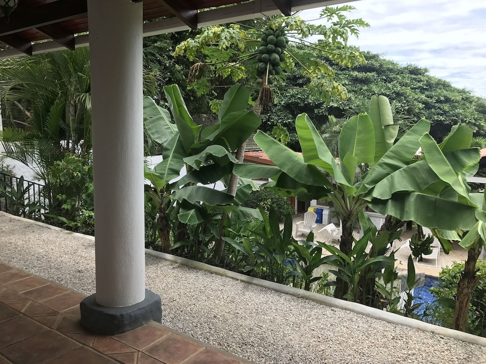 Hotel Flores 31/50